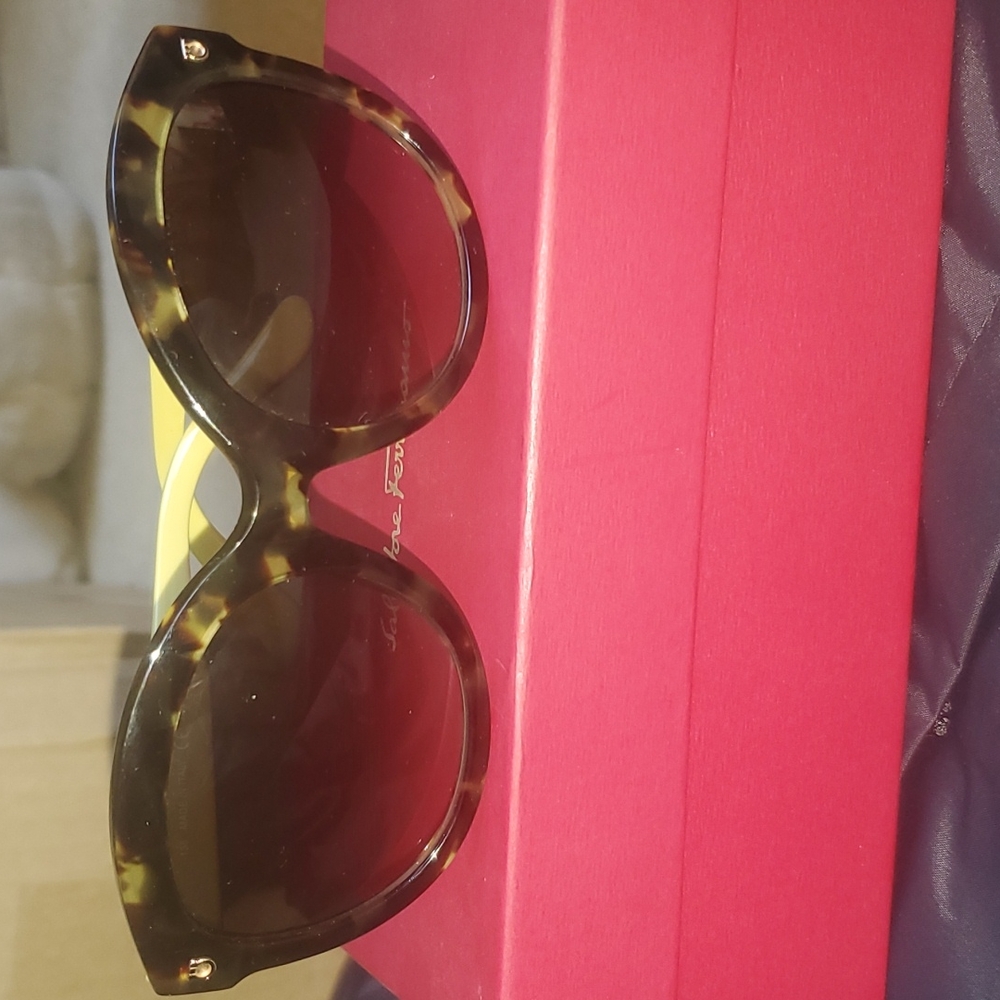 Salvatore Ferragamo Sunglasses SF677S